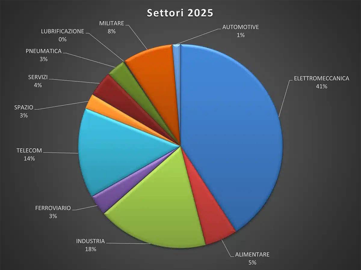 Settori 2025 - BVR